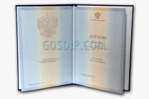 диплом о высшем образовании 2012-2013 годов
